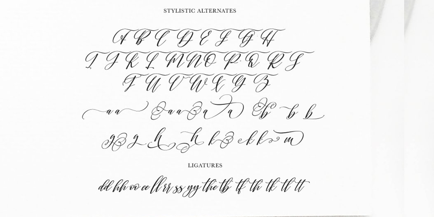Beispiel einer Shington Script-Schriftart #2